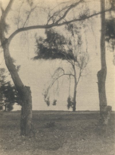 Paesaggio con alberi da Louis Fleckenstein